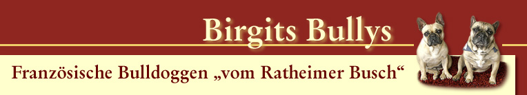 Französische Bulldoggen vom Ratheimer Busch - Heinsberg, Aachen, Düsseldorf - Welpenkauf, Vermittlung, Beratung